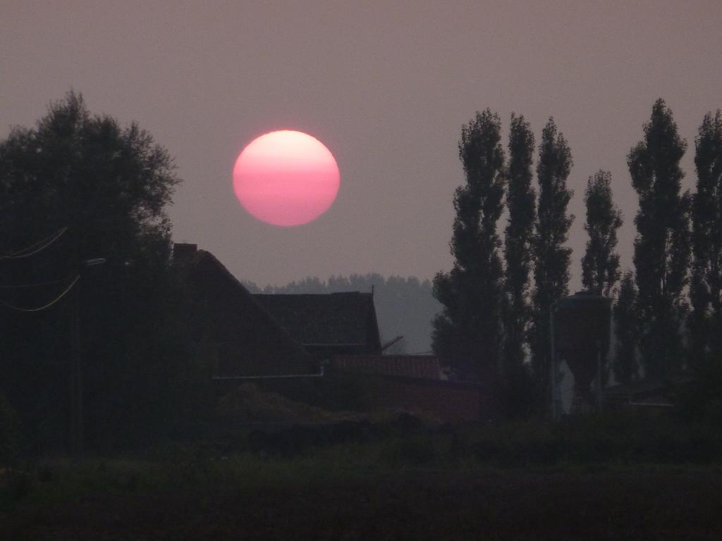 Guesthouse Kolibriehuys Nieuwkerke Zewnętrze zdjęcie