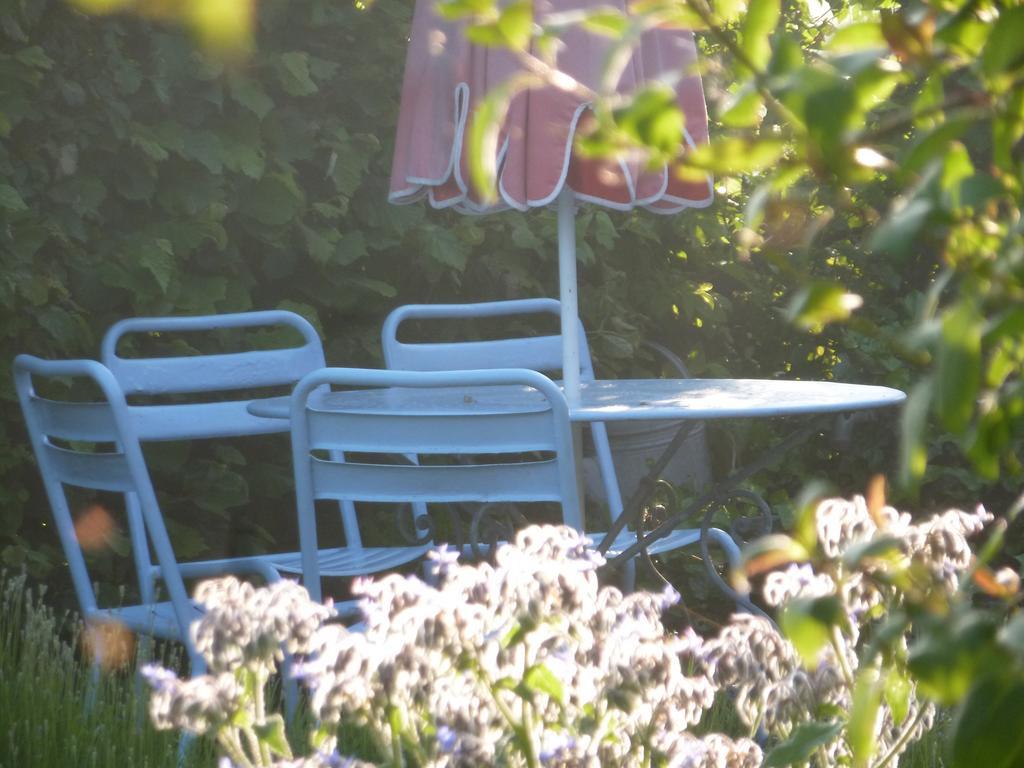 Guesthouse Kolibriehuys Nieuwkerke Zewnętrze zdjęcie