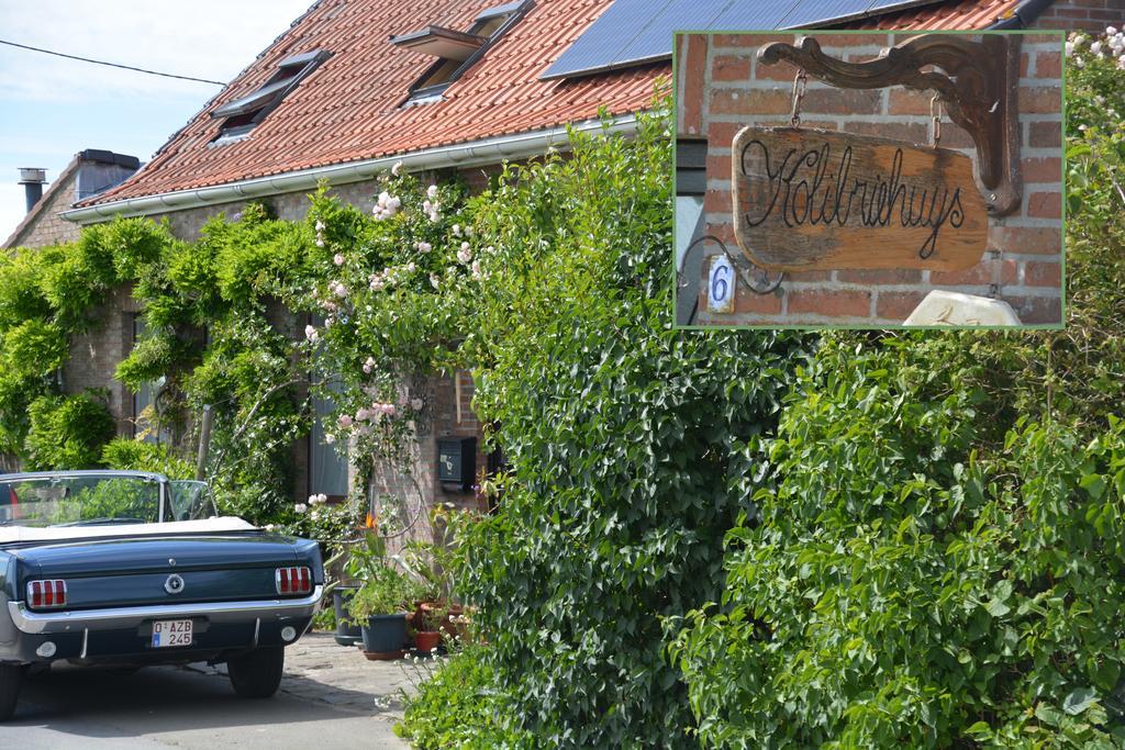 Guesthouse Kolibriehuys Nieuwkerke Zewnętrze zdjęcie