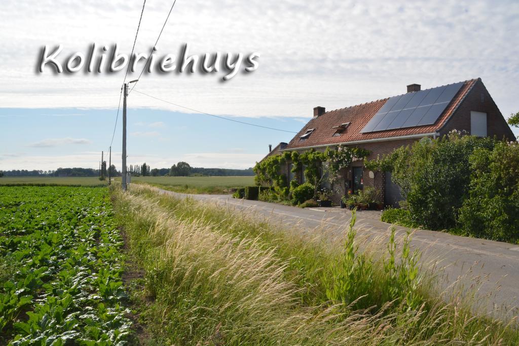 Guesthouse Kolibriehuys Nieuwkerke Zewnętrze zdjęcie