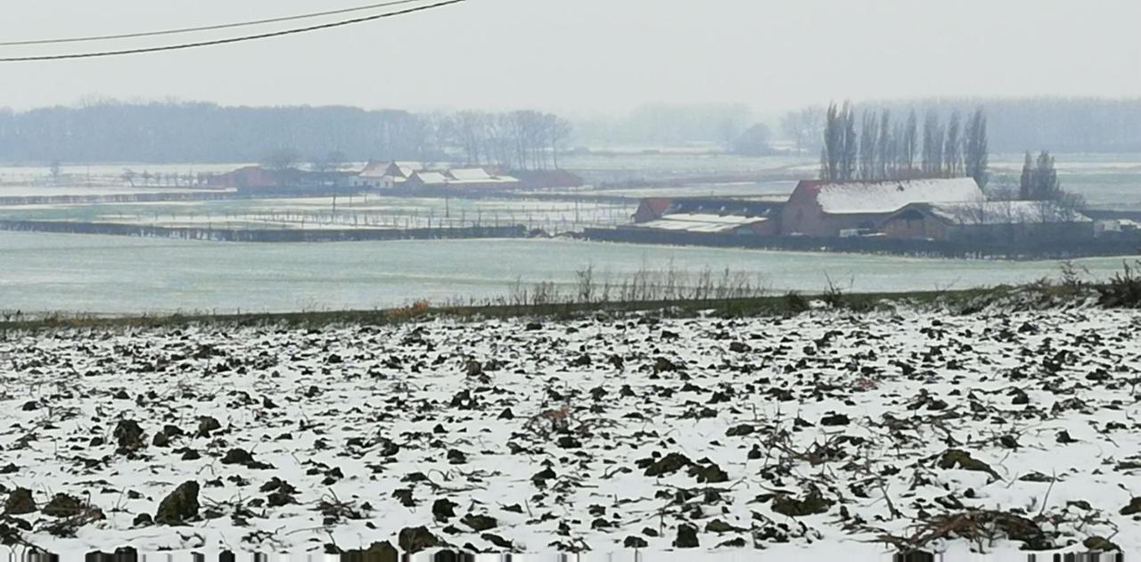Guesthouse Kolibriehuys Nieuwkerke Zewnętrze zdjęcie